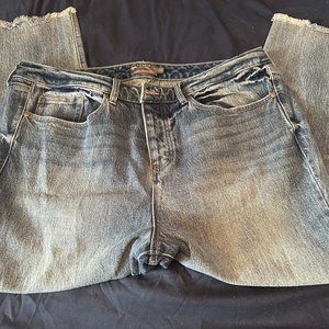 Torrid High Rise Straight Jeans 16S Petite Short - Rough Hem Button Fly Denim